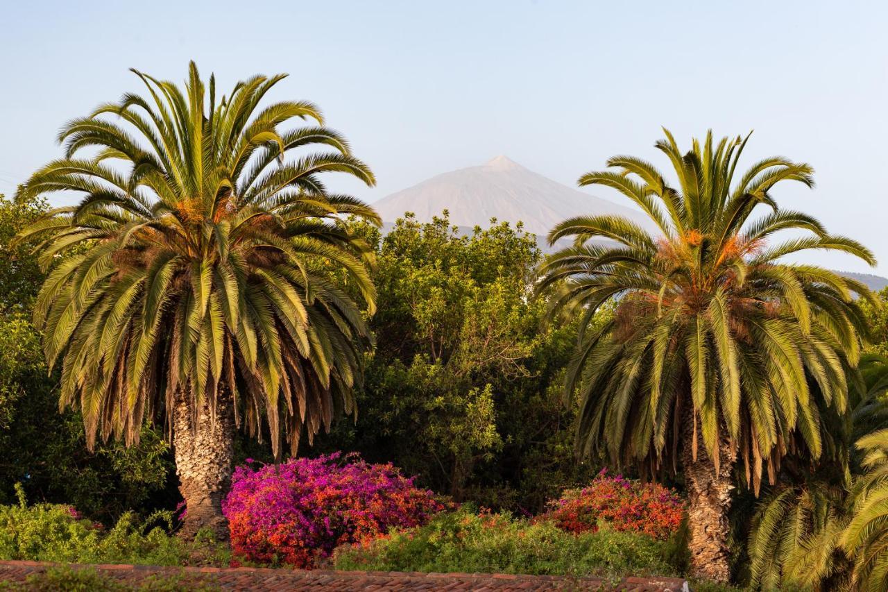 Apartment With Mount Teide And Sea Views Санта-Урсула Экстерьер фото